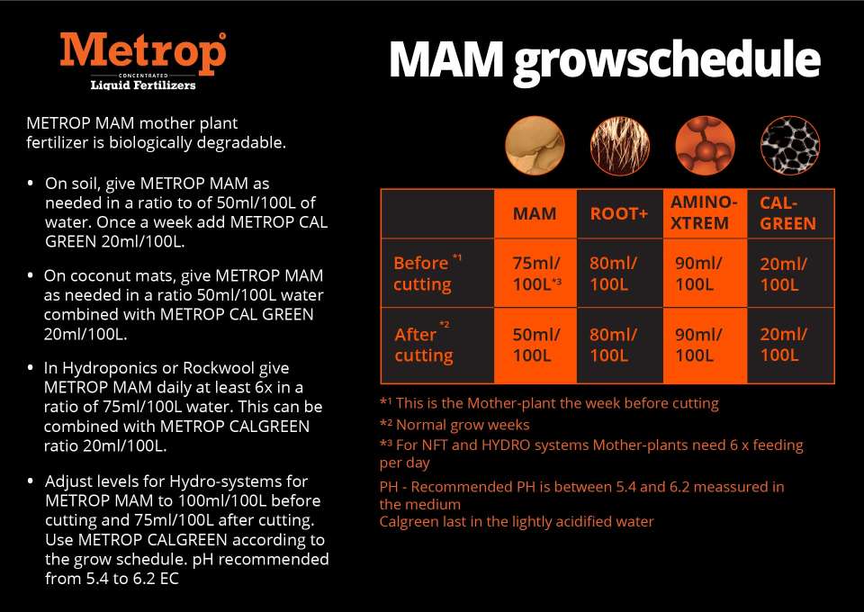 MAM growth schedule